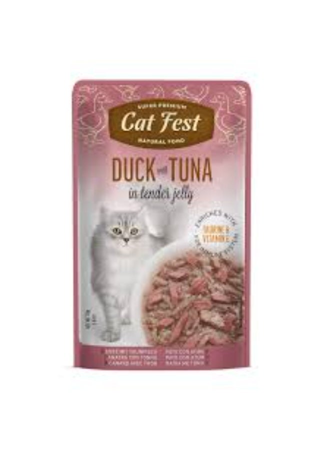 Cat Fest Wet Cat Food Duck with Tuna in Tender Jelly High Protein 70g From Varmacy